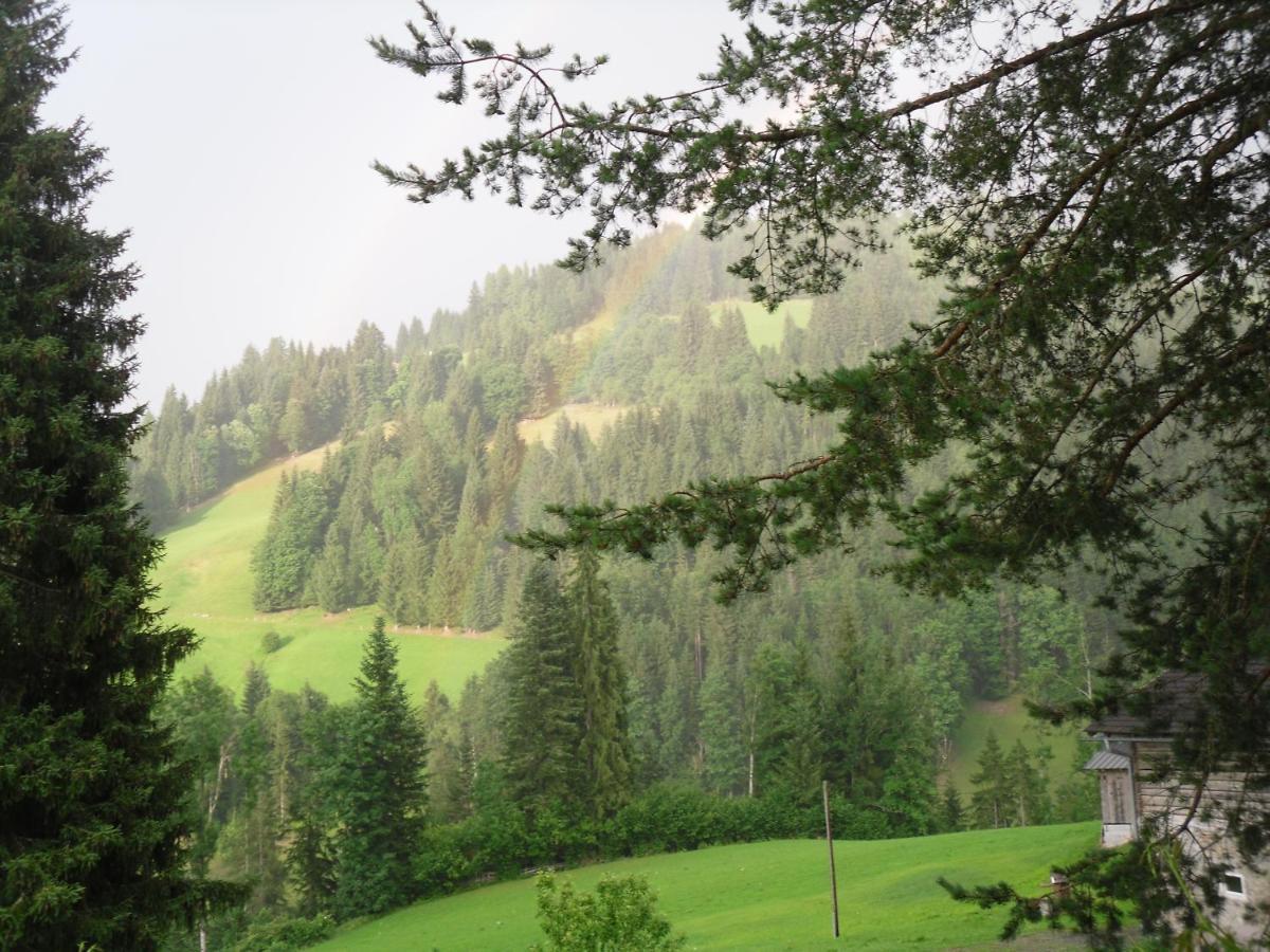 Vorderwiesgut Altenmarkt im Pongau Ngoại thất bức ảnh